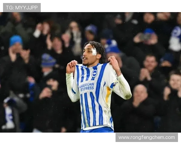 恩瓦内里称萨利巴力荐马赛豪门