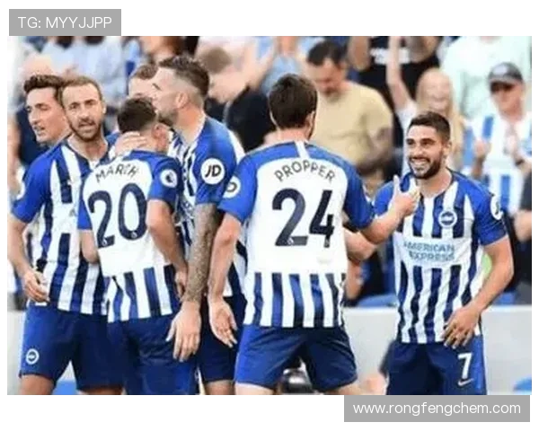 水晶宫寻锋替补塔雷密察迪萨西