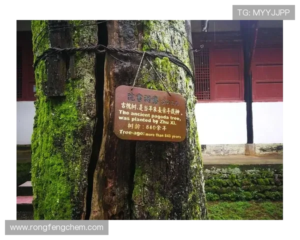 库巴西仰望三代铁卫风骨传奇录